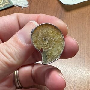 Silver and Brown Fossil-Inspired Ring